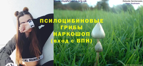 а пвп мука Вязники