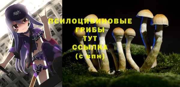 мдма Вяземский